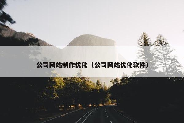 公司网站制作优化（公司网站优化软件）