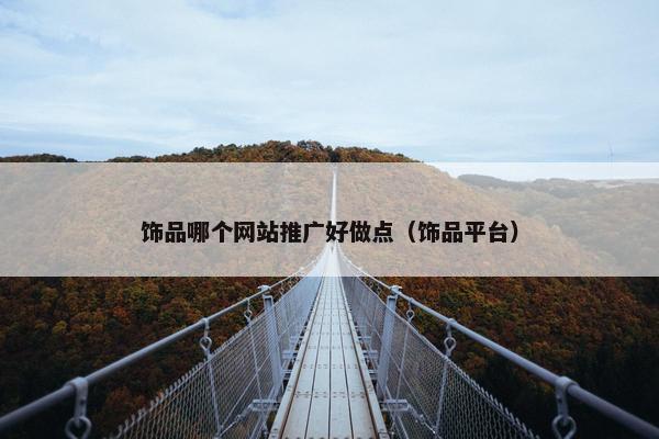 饰品哪个网站推广好做点（饰品平台）