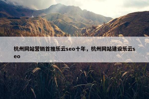 杭州网站营销首推乐云seo十年，杭州网站建设乐云seo
