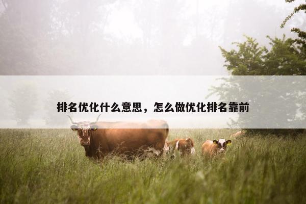 排名优化什么意思，怎么做优化排名靠前