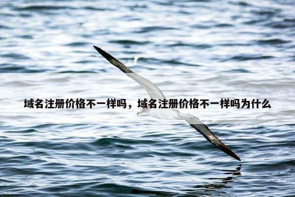 域名注册价格不一样吗，域名注册价格不一样吗为什么