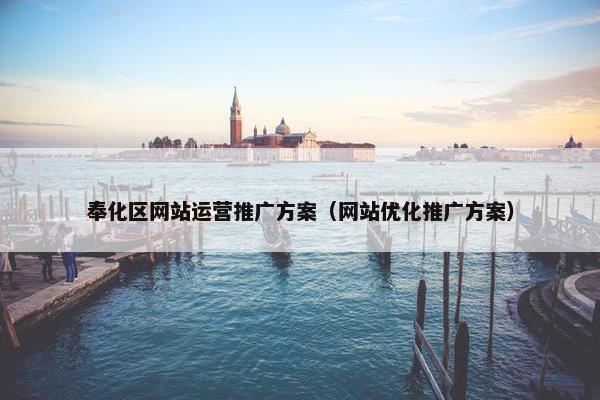 奉化区网站运营推广方案（网站优化推广方案）