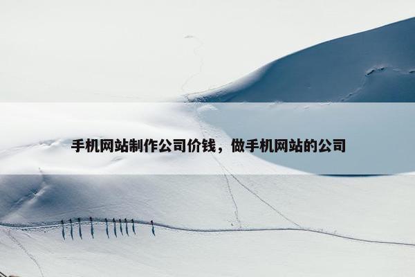 手机网站制作公司价钱，做手机网站的公司