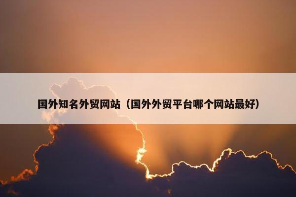 国外知名外贸网站（国外外贸平台哪个网站最好）