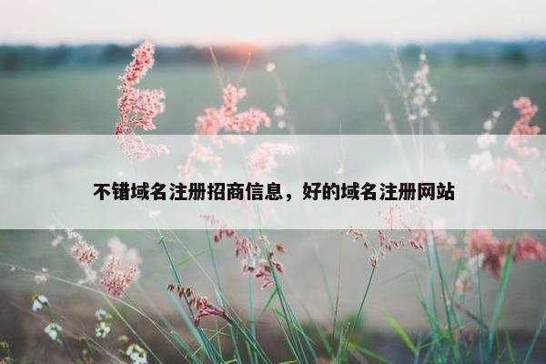 不错域名注册招商信息，好的域名注册网站