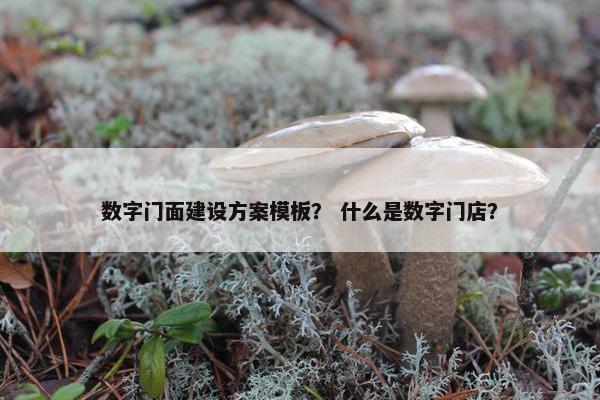 数字门面建设方案模板？ 什么是数字门店？