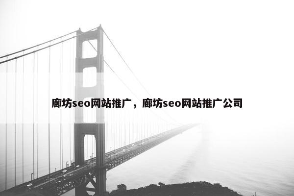 廊坊seo网站推广，廊坊seo网站推广公司
