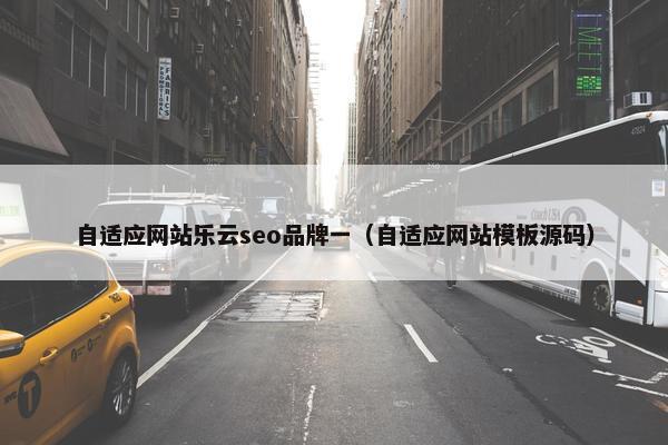 自适应网站乐云seo品牌一（自适应网站模板源码）