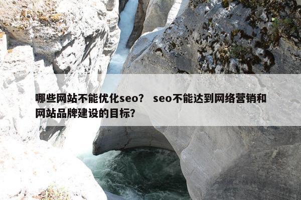 哪些网站不能优化seo？ seo不能达到网络营销和网站品牌建设的目标？