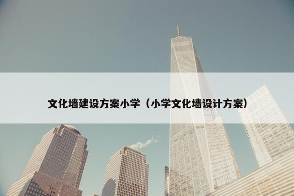 文化墙建设方案小学（小学文化墙设计方案）