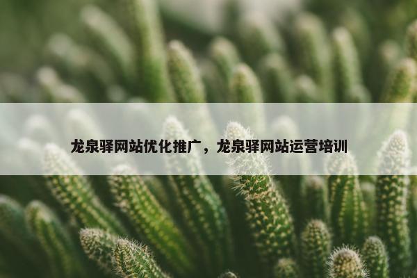 龙泉驿网站优化推广，龙泉驿网站运营培训