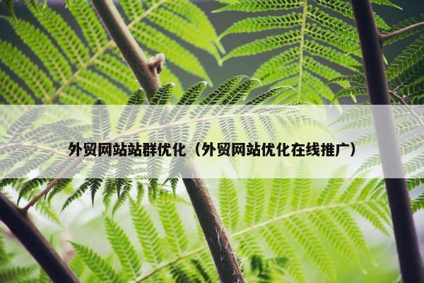 外贸网站站群优化（外贸网站优化在线推广）