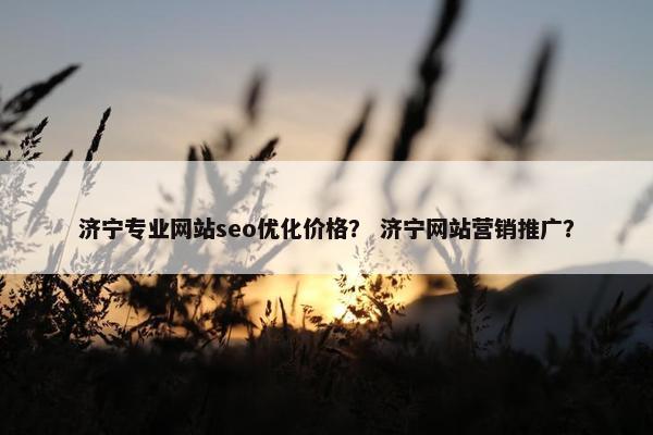 济宁专业网站seo优化价格？ 济宁网站营销推广？