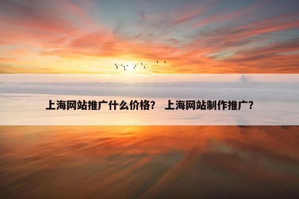 上海网站推广什么价格？ 上海网站制作推广？