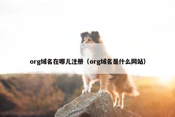 org域名在哪儿注册（org域名是什么网站）