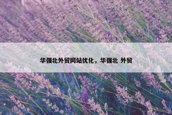 华强北外贸网站优化，华强北 外贸