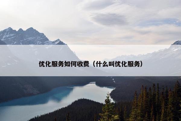 优化服务如何收费（什么叫优化服务）