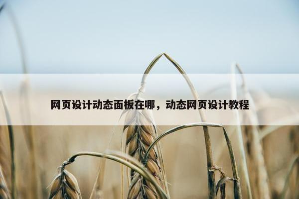 网页设计动态面板在哪，动态网页设计教程