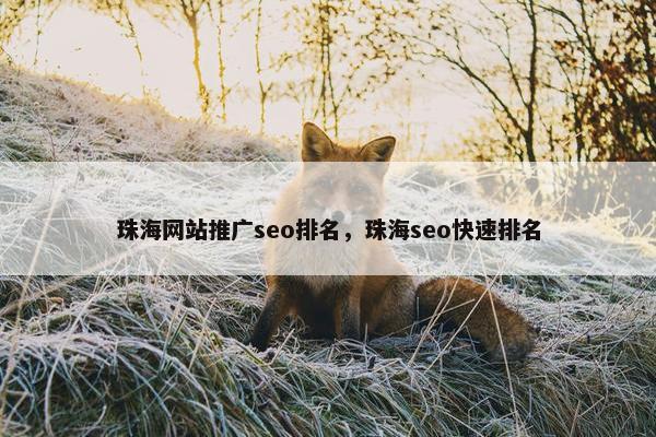 珠海网站推广seo排名，珠海seo快速排名