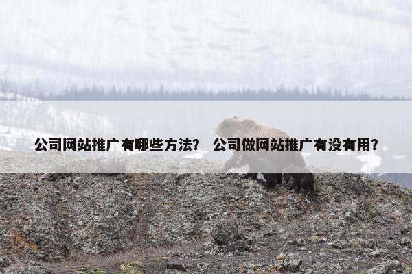 公司网站推广有哪些方法？ 公司做网站推广有没有用？