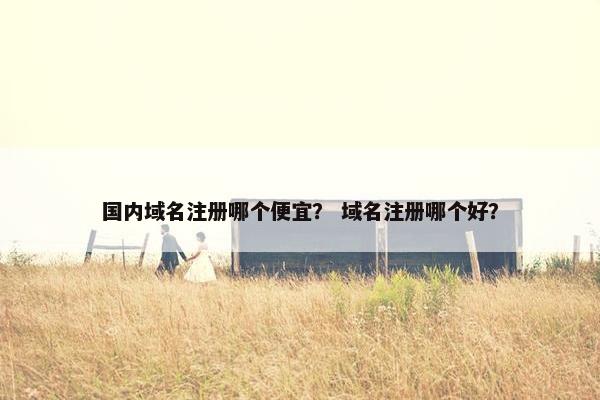 国内域名注册哪个便宜？ 域名注册哪个好？