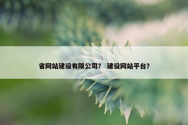 省网站建设有限公司？ 建设网站平台？
