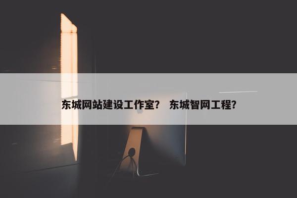 东城网站建设工作室？ 东城智网工程？