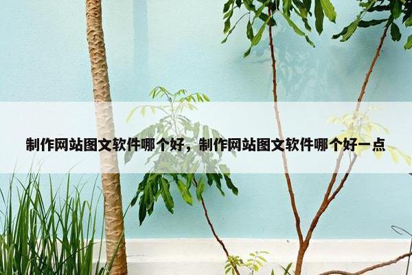 制作网站图文软件哪个好，制作网站图文软件哪个好一点