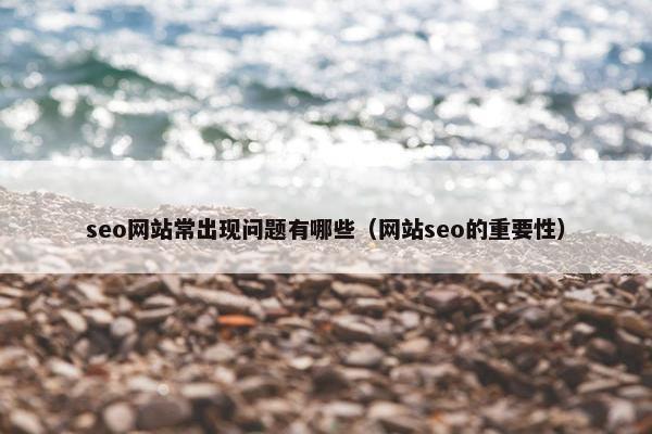 seo网站常出现问题有哪些（网站seo的重要性）