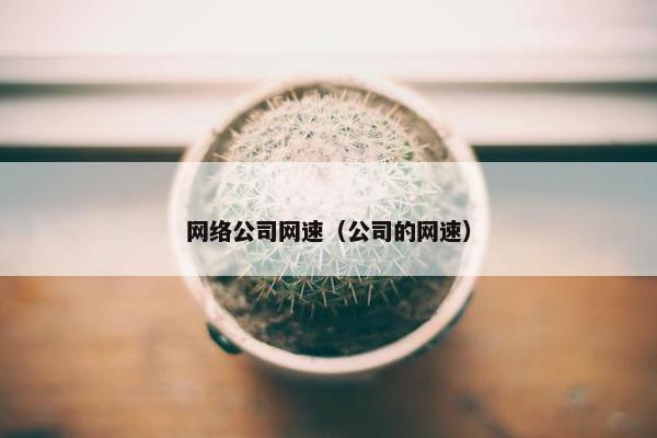 网络公司网速（公司的网速）