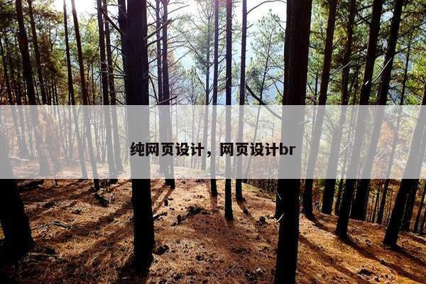 纯网页设计，网页设计br