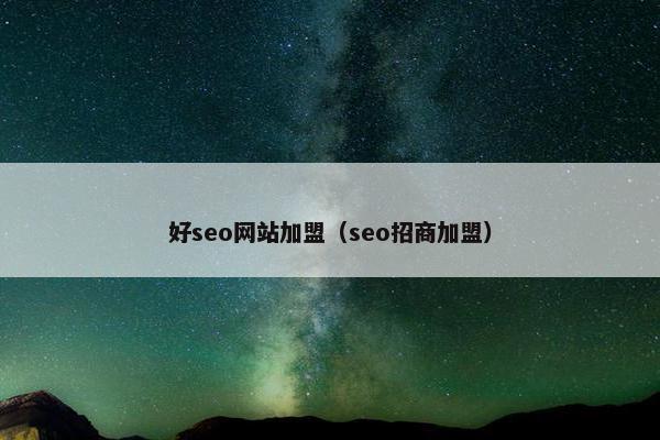 好seo网站加盟（seo招商加盟）