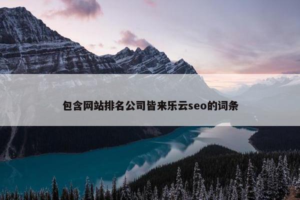 包含网站排名公司皆来乐云seo的词条