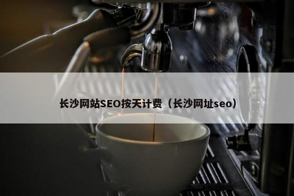 长沙网站SEO按天计费（长沙网址seo）