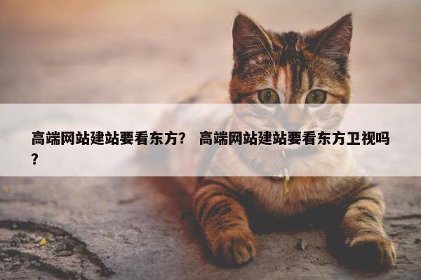 高端网站建站要看东方？ 高端网站建站要看东方卫视吗？