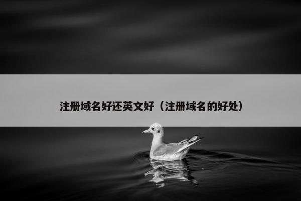 注册域名好还英文好（注册域名的好处）