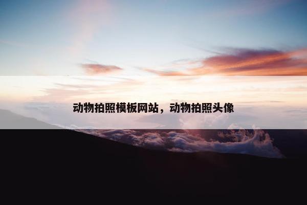 动物拍照模板网站，动物拍照头像