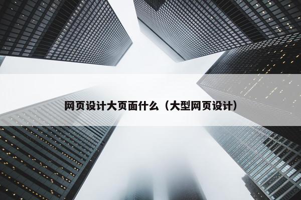 网页设计大页面什么（大型网页设计）