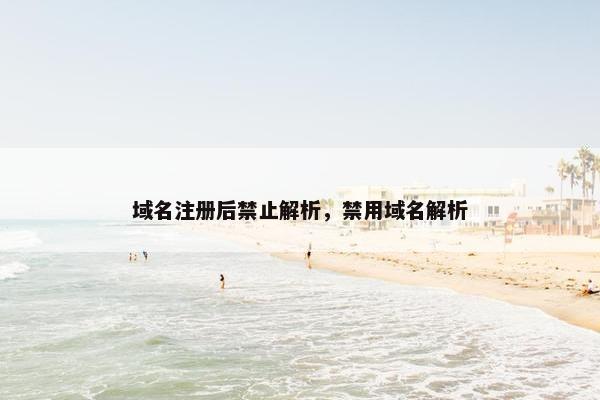 域名注册后禁止解析，禁用域名解析