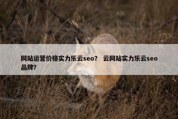 网站运营价格实力乐云seo？ 云网站实力乐云seo品牌？