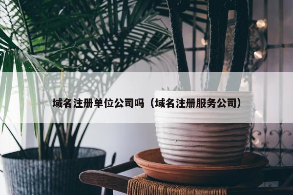 域名注册单位公司吗（域名注册服务公司）