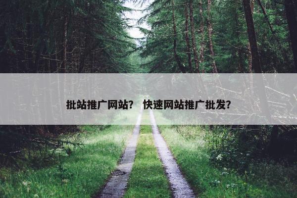 批站推广网站？ 快速网站推广批发？