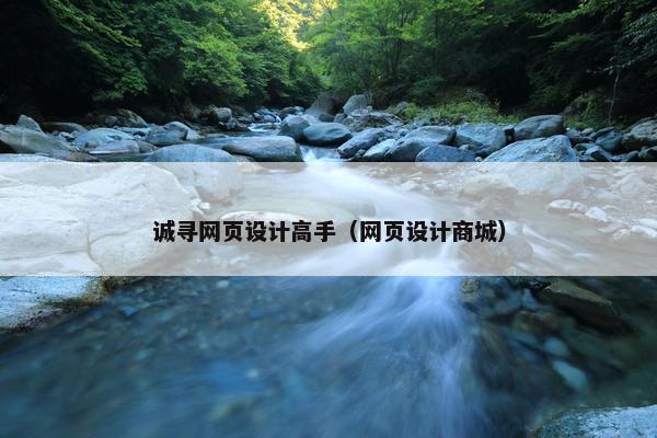 诚寻网页设计高手（网页设计商城）