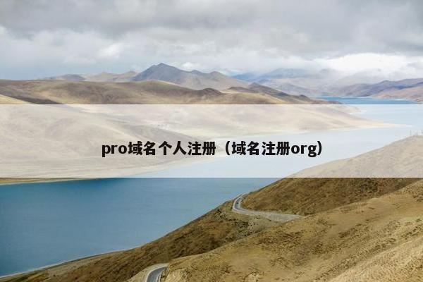 pro域名个人注册（域名注册org）