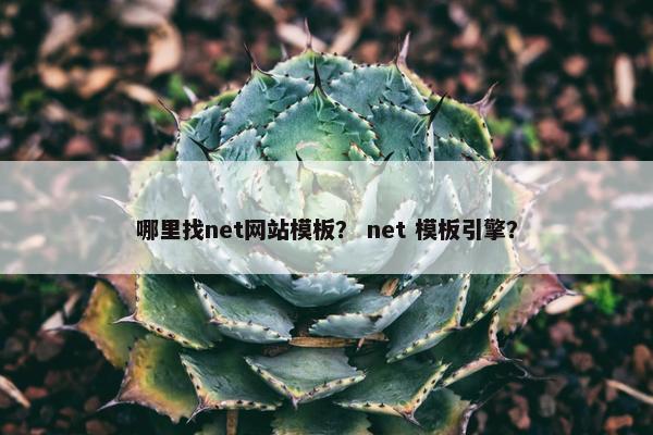 哪里找net网站模板？ net 模板引擎？