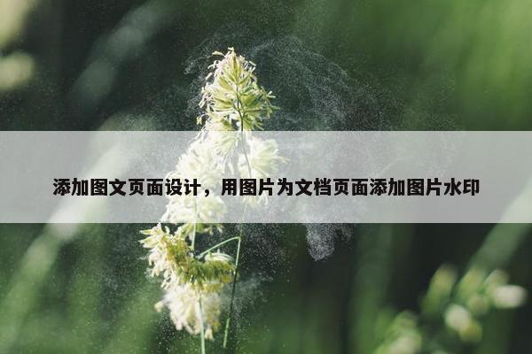 添加图文页面设计，用图片为文档页面添加图片水印