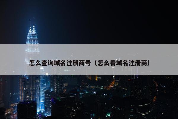 怎么查询域名注册商号（怎么看域名注册商）