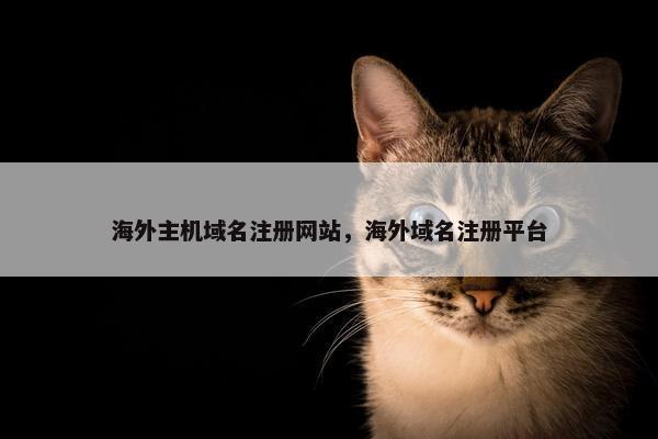 海外主机域名注册网站，海外域名注册平台