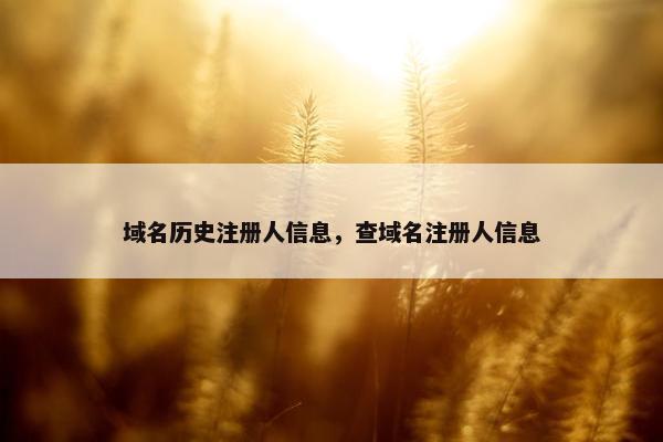 域名历史注册人信息，查域名注册人信息