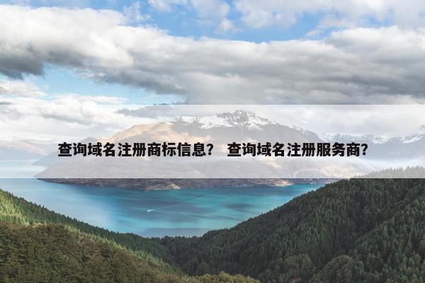 查询域名注册商标信息？ 查询域名注册服务商？